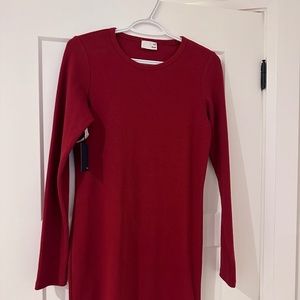 Long Sleeve Aritzia dress